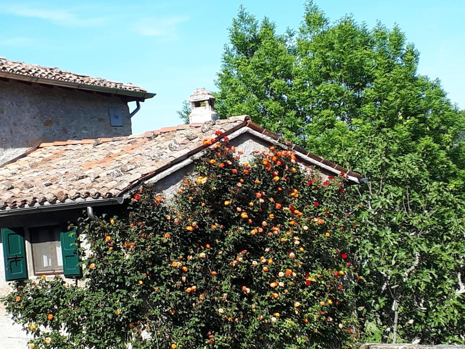 Neviano degli Arduini La Corte Bonomini B&B 외부 사진