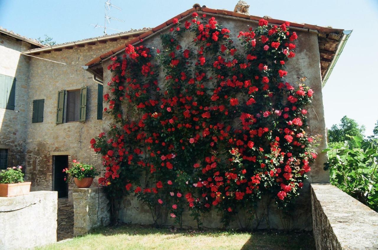 Neviano degli Arduini La Corte Bonomini B&B 외부 사진