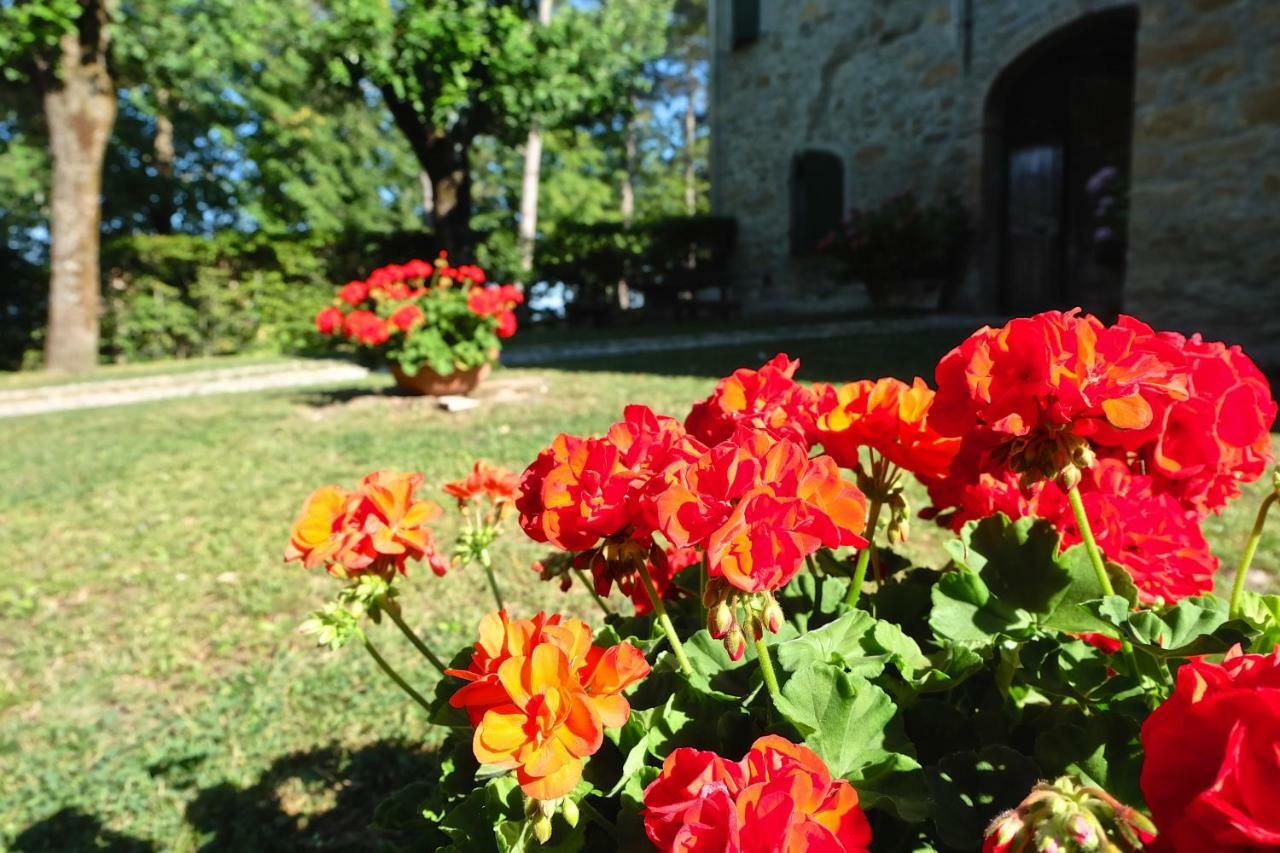 Neviano degli Arduini La Corte Bonomini B&B 외부 사진